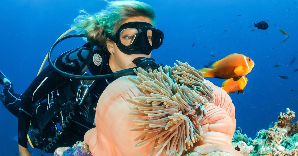 best place to scuba dive