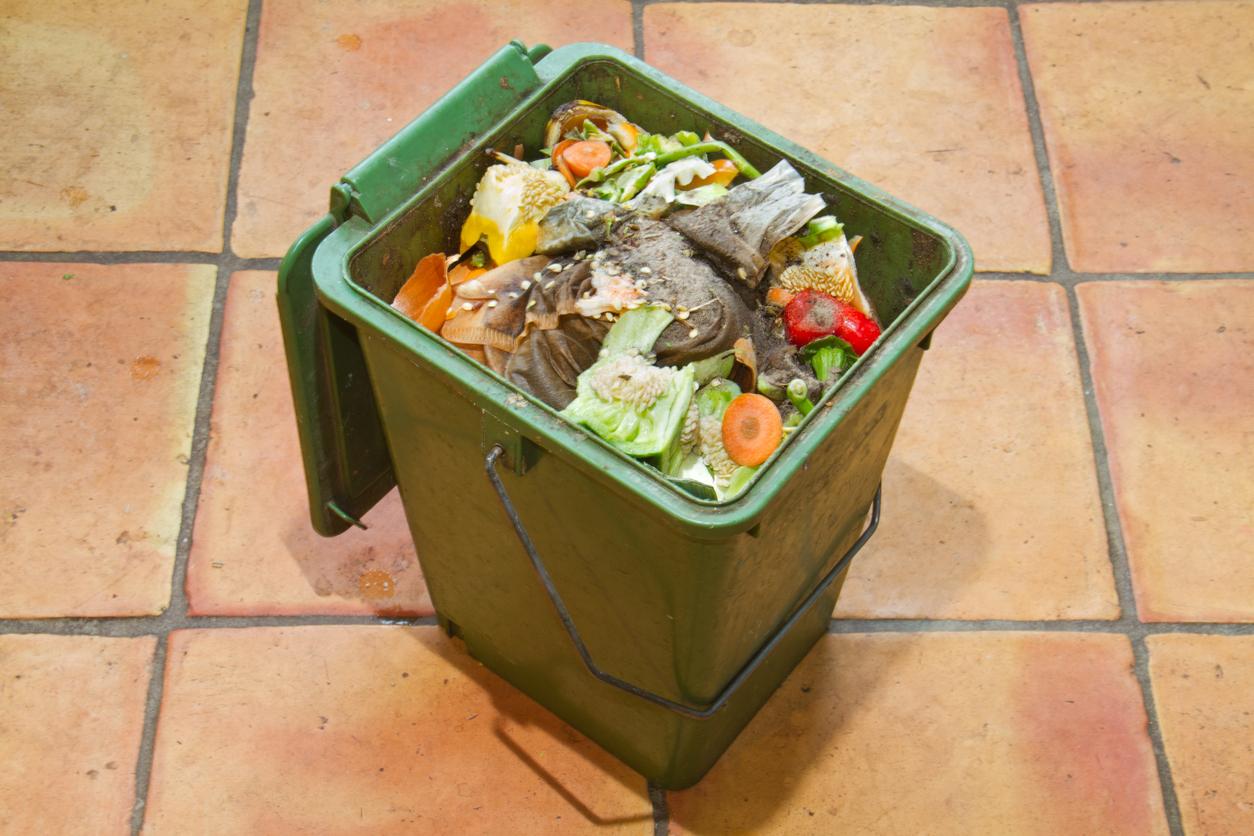 Outdoor Compost Bin