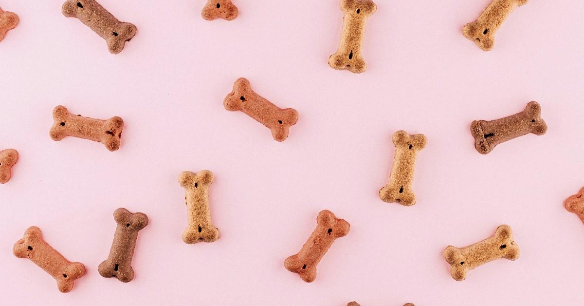Dog bones are scattered across a pink background 