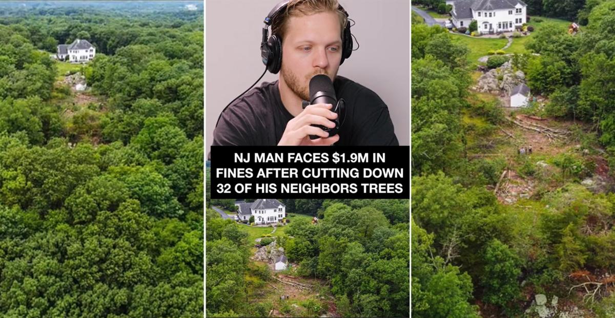 three images of trees cut down