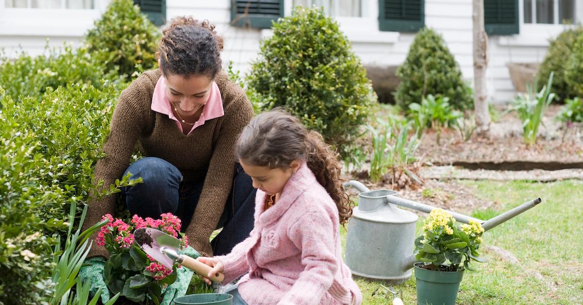 How gardening helps the environment?