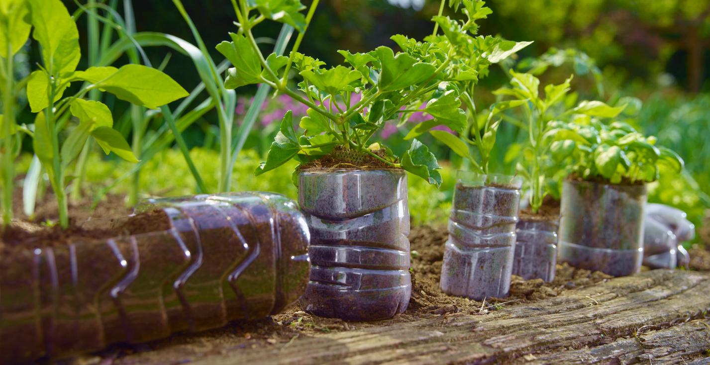 How to Make a Plastic Bottle Garden