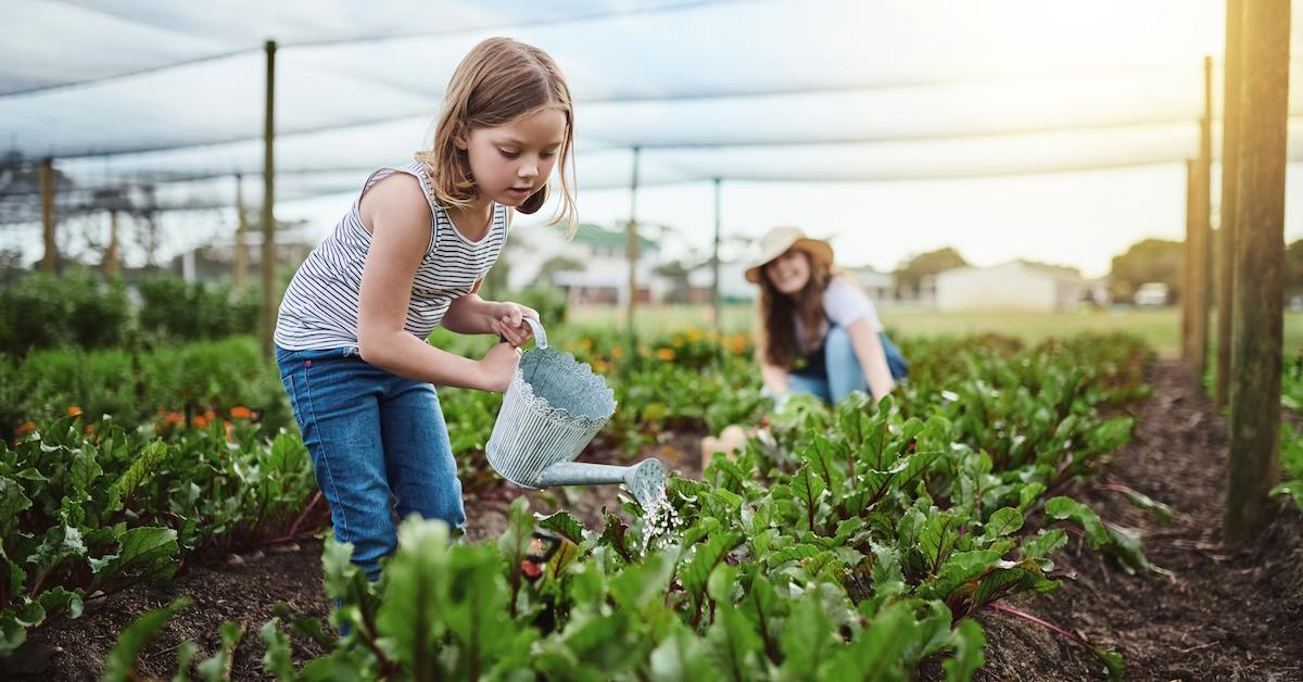 kids gardening