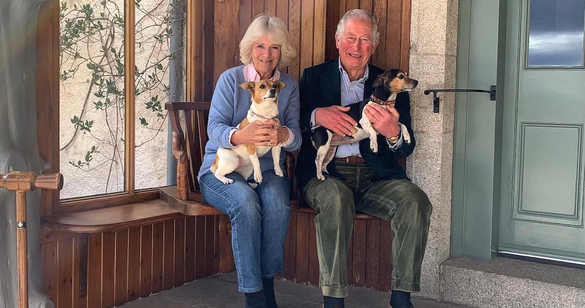 king charles and queen camila with their dogs