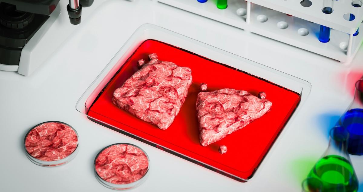 lab-grown meat