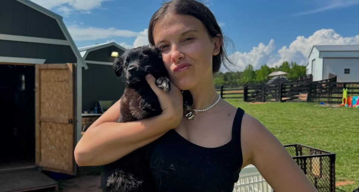 millie bobby brown with her dog