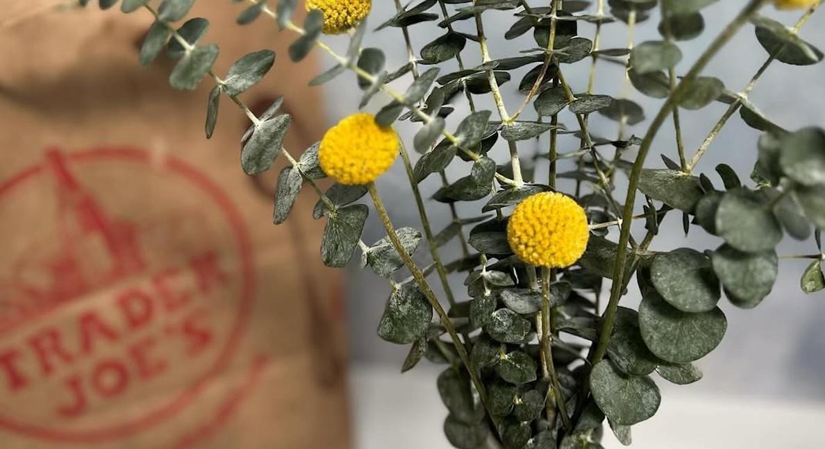 trader joes flowers