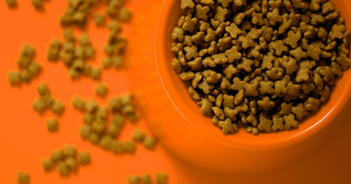 A bowl full of kibble sits in an orange bowl against an orange background