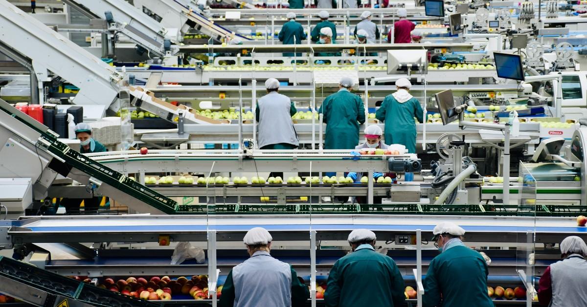 Factory workers stand in an assembly line 