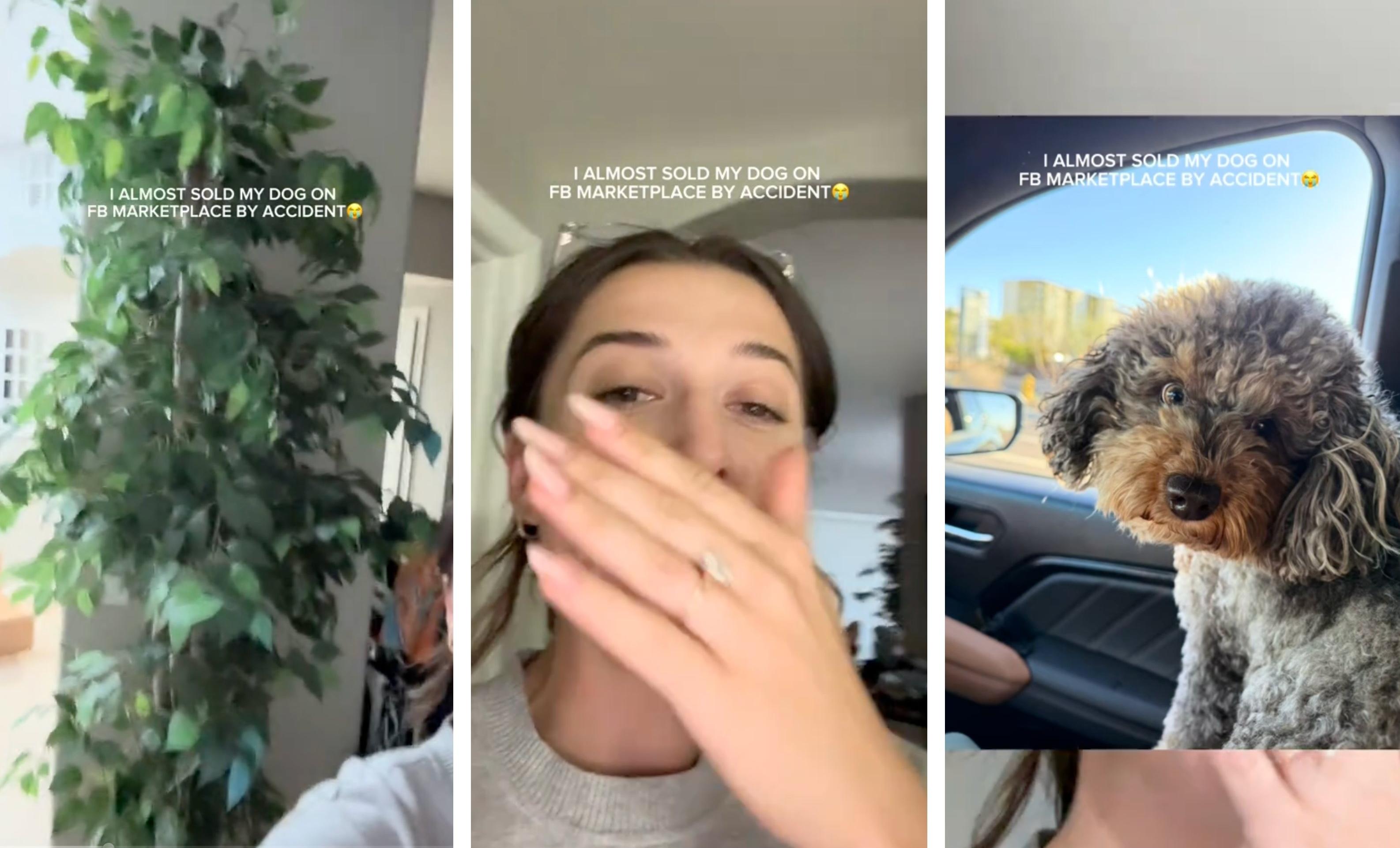 Three screenshots depict TikTok user Nicole Mozolewski explaining how she wanted to sell a tree but instead posted an ad for her dog.