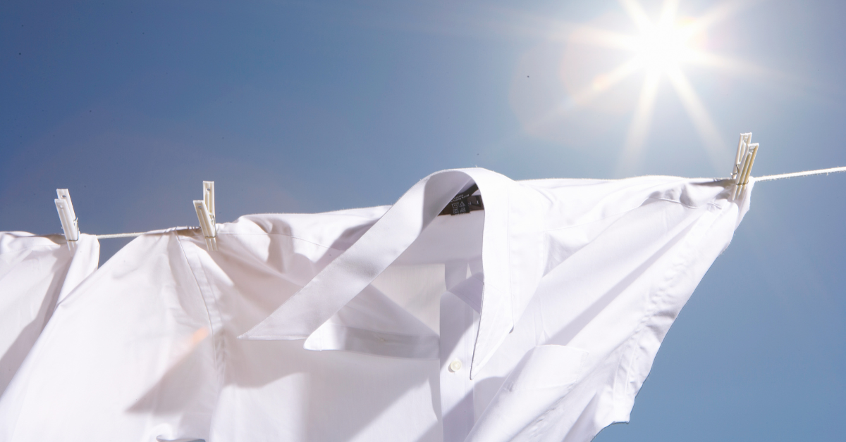 White dress shirts hang on a line to air dry on a sunny day